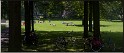 Ter Pelkwijkpark_9869